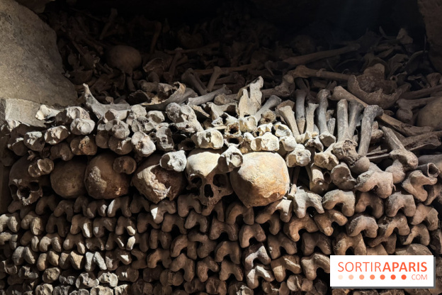 Les Catacombes de Paris 2026 - IMG 3691