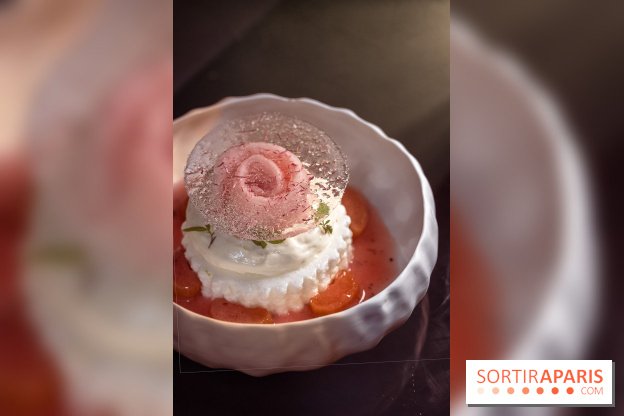 Rivages restaurent de la mer du Scribe Opéra Paris 9e, les photos - rhubarbe