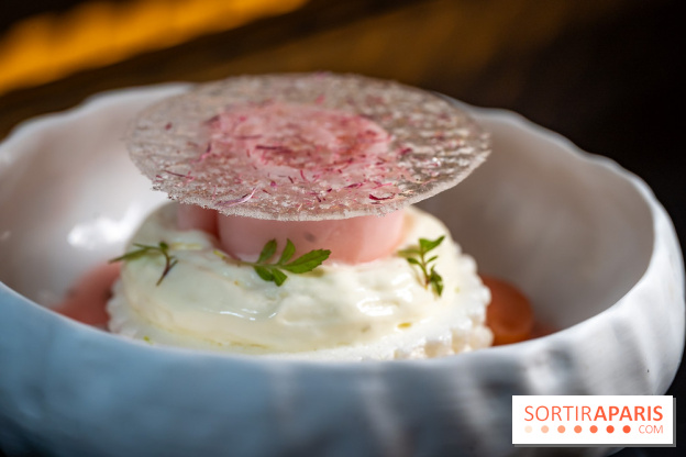 Rivages restaurent de la mer du Scribe Opéra Paris 9e, les photos - rhubarbe