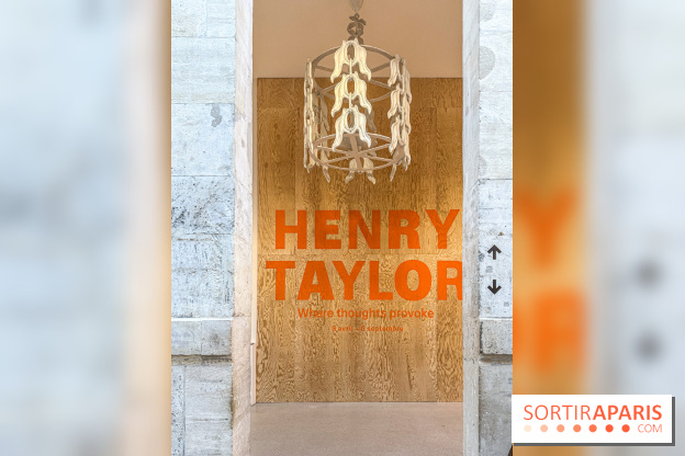 Exposition Henry Taylor au Musée Picasso - IMG 6004