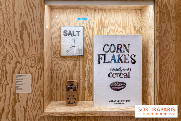 Exposition Henry Taylor au Musée Picasso - IMG 6053