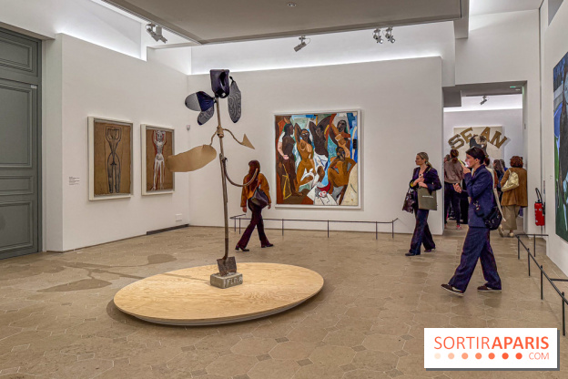 Exposition Henry Taylor au Musée Picasso - IMG 6191