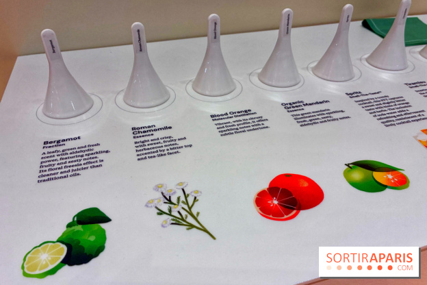 Paris Perfume Week - IMG 4910