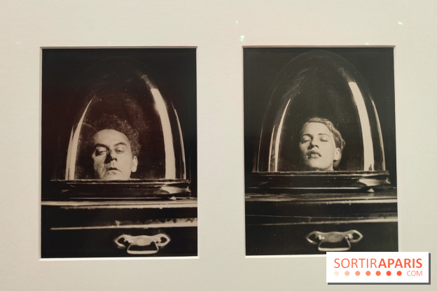 Lee Miller : une exposition consacrée à la photographe américaine au Musée d’Art Moderne de Paris  - fotor 1775730904542