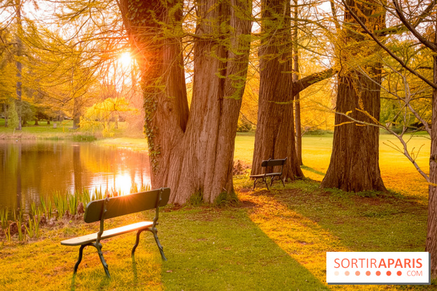 Château de Courson et son domaine : Parc Botanique et Jardin Remarquable en Région Parisienne  - A7C02963 Edit