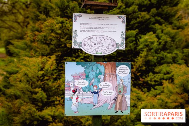 Château de Courson et son domaine : Parc Botanique et Jardin Remarquable en Région Parisienne  - A7C02957