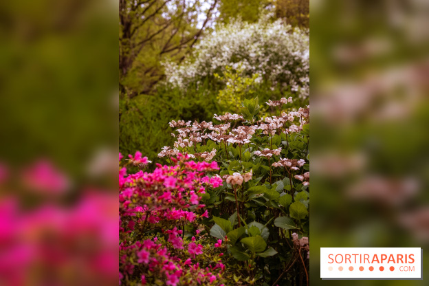 Château de Courson et son domaine : Parc Botanique et Jardin Remarquable en Région Parisienne  - A7C02953