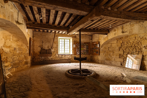 Château de Courson et son domaine : Parc Botanique et Jardin Remarquable en Région Parisienne  - A7C03070