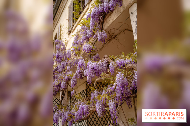 Château de Courson et son domaine : Parc Botanique et Jardin Remarquable en Région Parisienne  - A7C03024