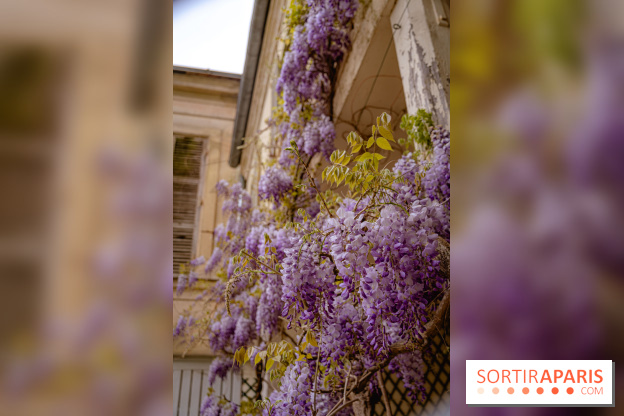 Château de Courson et son domaine : Parc Botanique et Jardin Remarquable en Région Parisienne  - A7C03026