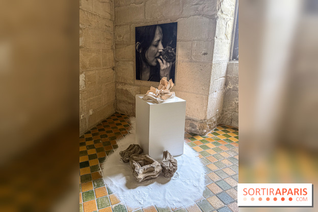 Inkarna : l’exposition de Yosra Mojtahedi à l’Abbaye de Maubuisson