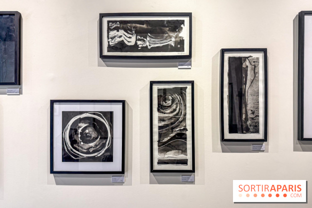 Fantôme à la galerie La Lison : exposition Avant les cendres