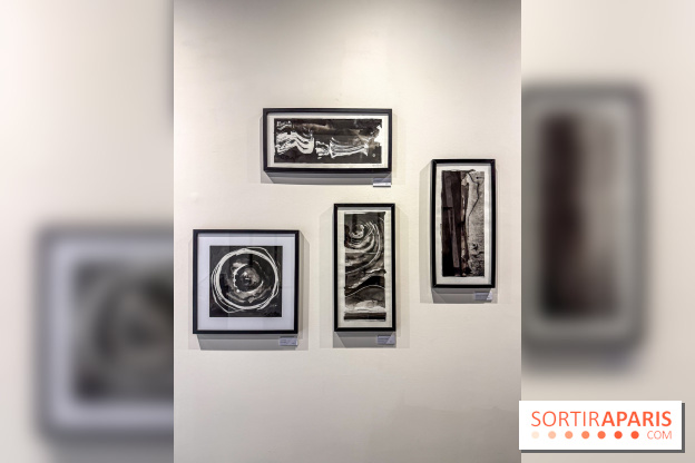 Fantôme à la galerie La Lison : exposition Avant les cendres