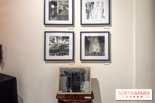 Fantôme à la galerie La Lison : exposition Avant les cendres