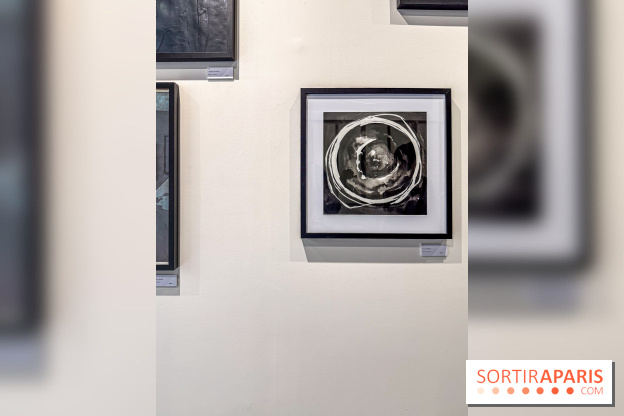 Fantôme à la galerie La Lison : exposition Avant les cendres