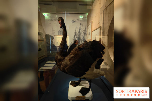 Explorateurs, une exposition du musée de l'armée