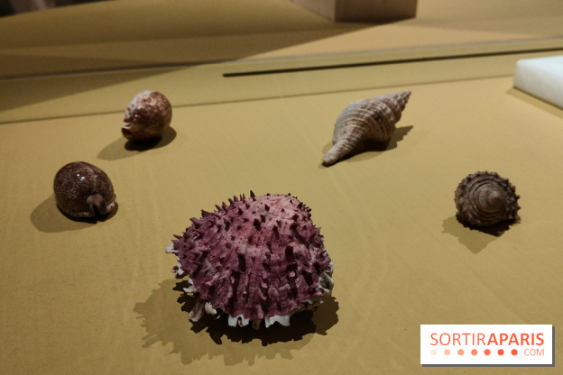 Explorateurs, une exposition du musée de l'armée