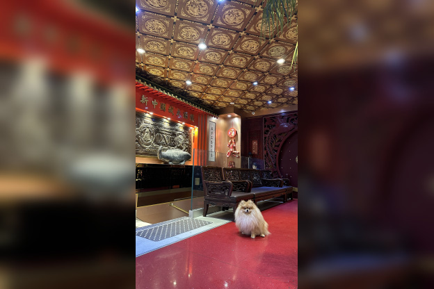 Chinatown - image00001