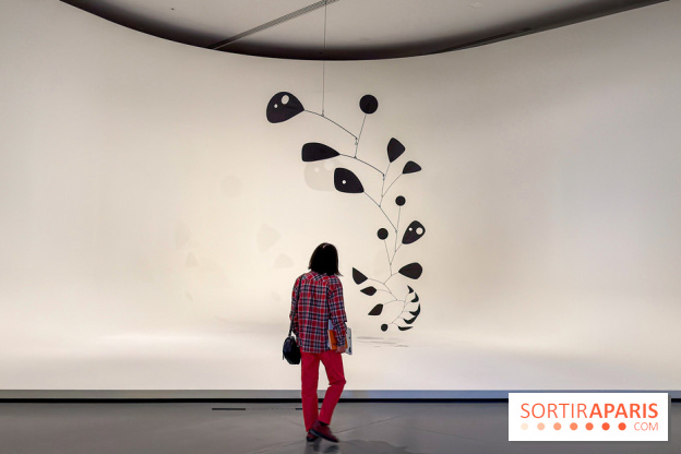Calder. Rêver en Équilibre : l'exposition retrospective du  - IMG 2716