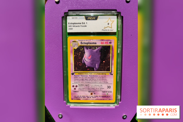 Admirez-les tous, Pokémon à l'honneur dans une exposition ludique et régressive au musée en Herbe