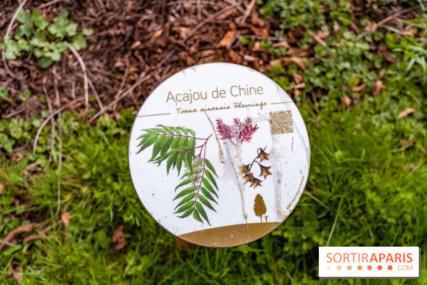 Le Château de Buc et son superbe domaine, parc paysagé aux nombreux trésors - A7C03145