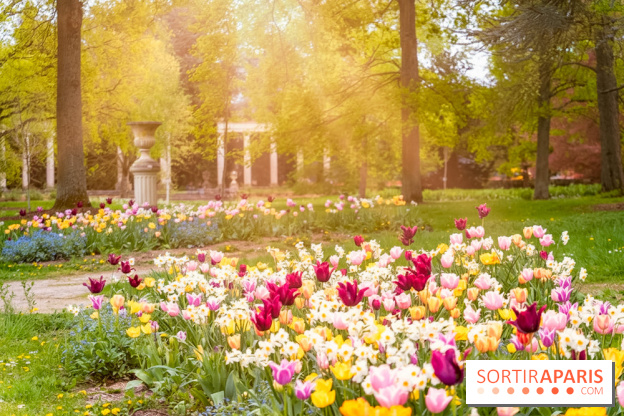 Le Château de Buc et son superbe domaine, parc paysagé aux nombreux trésors - A7C03157 Edit