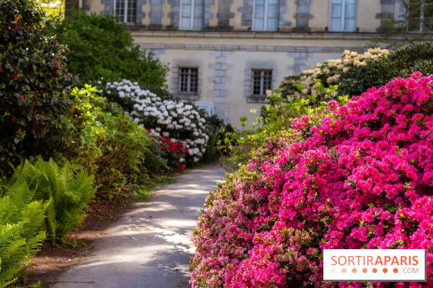 Parc et Jardins du Château de Fontainebleau - les photos