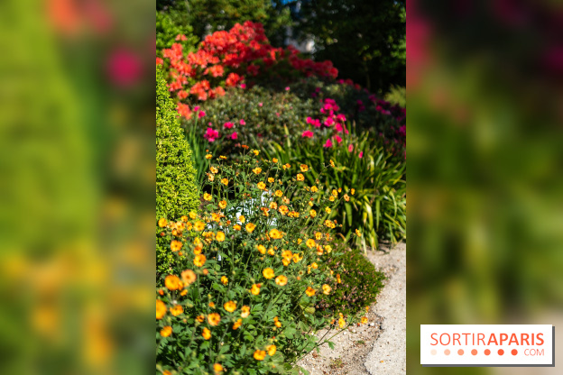 Parc et Jardins du Château de Fontainebleau - les photos  - A7C04798