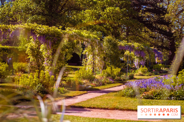 Le Parc des Ibis au Vésinet dans les Yvelines en Région Parisienne - photos  - A7200695
