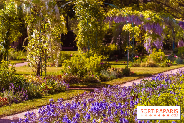 Le Parc des Ibis au Vésinet dans les Yvelines en Région Parisienne - photos  - A7200696