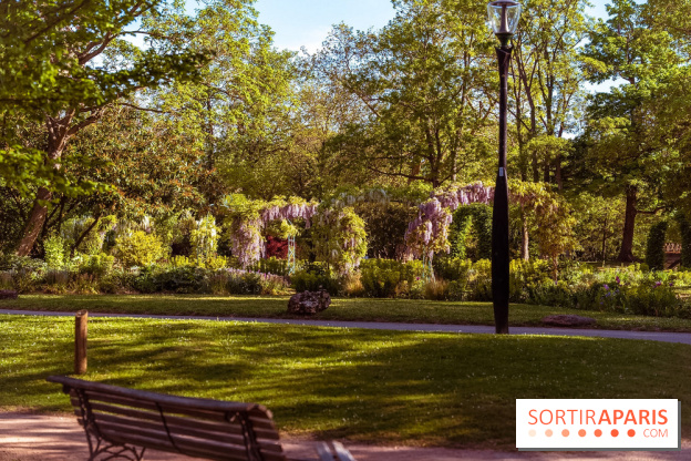 Le Parc des Ibis au Vésinet dans les Yvelines en Région Parisienne - photos  - A7200633