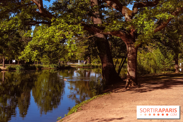 Le Parc des Ibis au Vésinet dans les Yvelines en Région Parisienne - photos  - A7200602