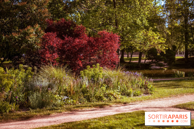 Le Parc des Ibis au Vésinet dans les Yvelines en Région Parisienne - photos  - A7200566