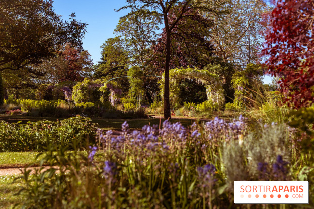 Le Parc des Ibis au Vésinet dans les Yvelines en Région Parisienne - photos  - A7200588