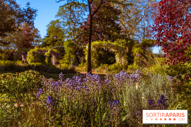 Le Parc des Ibis au Vésinet dans les Yvelines en Région Parisienne - photos  - A7200591