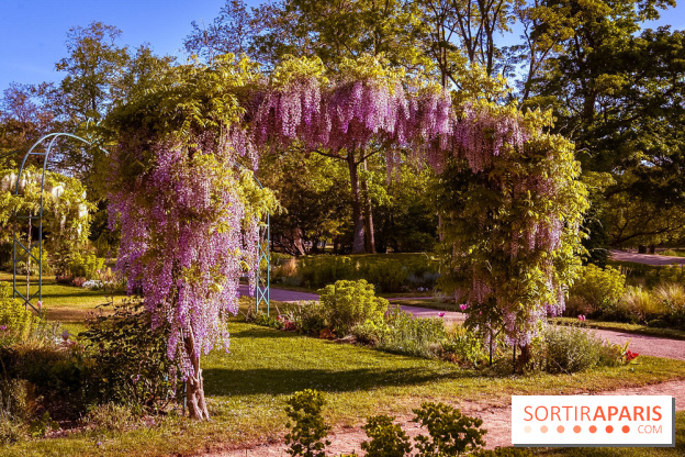 Le Parc des Ibis au Vésinet dans les Yvelines en Région Parisienne - photos  - A7200440