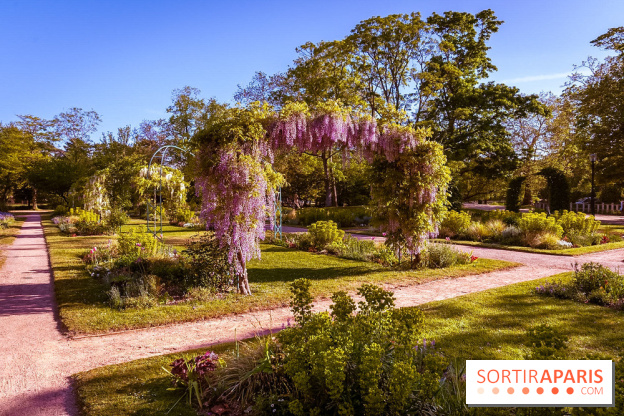 Le Parc des Ibis au Vésinet dans les Yvelines en Région Parisienne - photos  - A7200441