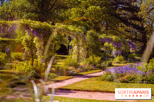 Le Parc des Ibis au Vésinet dans les Yvelines en Région Parisienne - photos  - A7200695 2