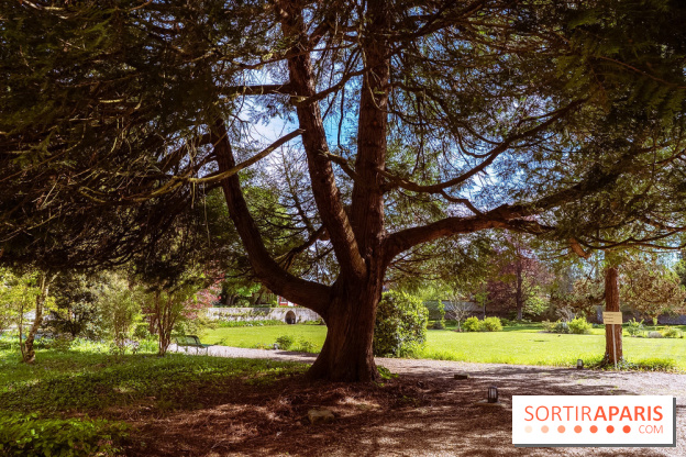 Le couvent des Carmes en Seine-et-Marne, son parc et son musée gratuit