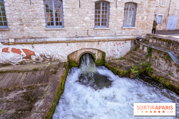 La terrasse du Moulin de Nemours, la guinguette estivale en bord de Loing 77 - A7C04883