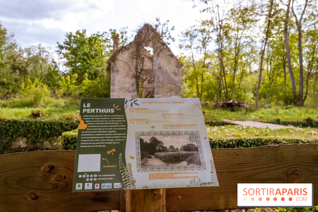 La terrasse du Moulin de Nemours, la guinguette estivale en bord de Loing 77 - A7C04924