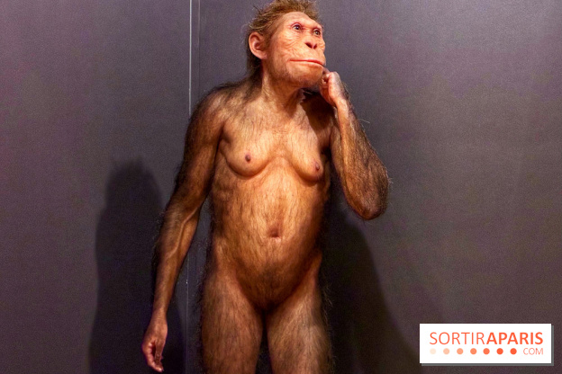 Préhistoire, entre utopie et réalité  - IMG 5555