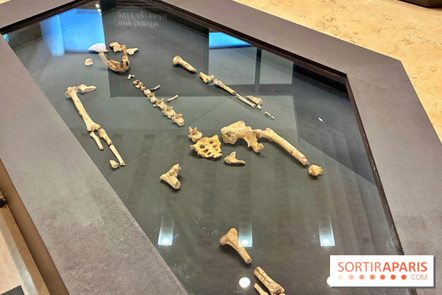 Préhistoire, entre utopie et réalité  - IMG 5563