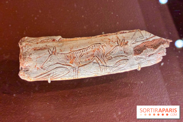 Préhistoire, entre utopie et réalité  - IMG 5569