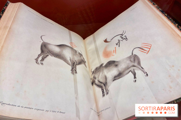 Préhistoire, entre utopie et réalité  - IMG 5581