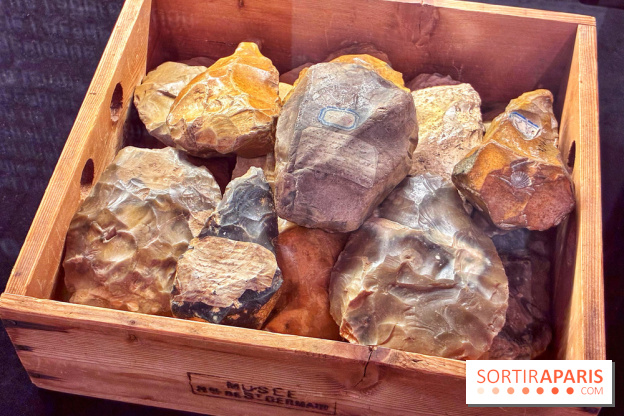 Préhistoire, entre utopie et réalité  - IMG 5589