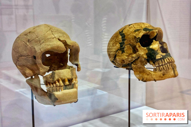 Préhistoire, entre utopie et réalité  - IMG 5601