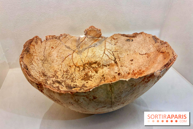 Préhistoire, entre utopie et réalité  - IMG 5627