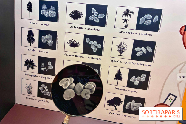 Préhistoire, entre utopie et réalité  - IMG 5646