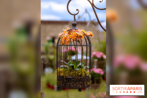 Eden, la Fête des Plantes du Château de la Roche Guyon - photos